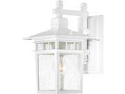 Cove Neck 1 Light 14 Outdoor Lantern W Clear Seed Glass