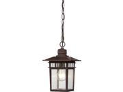 Cove Neck 1 Light 12 Outdoor Hang W Clear Seed Glass