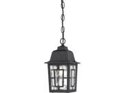 Banyan 1 Light 11 Outdoor Hanging W Clear Water Glass