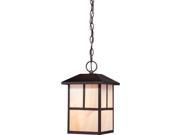 Tanner 1 LT Outdoor Hanging Fixture w Honey Stained Glass