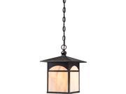 Canyon 1 LT Outdoor Hanging Fixture w Honey Stained Glass