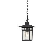 Cove Neck 1 Light 12 Outdoor Hang W Clear Seed Glass