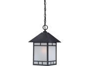 Drexel 1 LT Outdoor Hanging Fixture w Frosted Seed Glass
