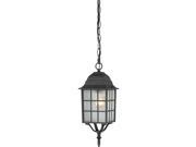 Adams 1 Light 16 Outdoor Hanging W Frosted Glass