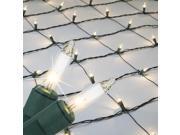 4 x 6 Clear Christmas Net Lights 150 Lamps on Green Wire