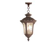 Livex Lighting Oxford Outdoor Chain Hang in Imperial Bronze 7658 58