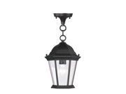 Livex Lighting Hamilton Outdoor Chain Hang in Black 7559 04