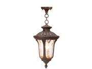 Livex Lighting Oxford Outdoor Chain Hang in Imperial Bronze 7654 58