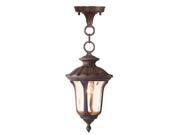 Livex Lighting Oxford Outdoor Chain Hang in Imperial Bronze 7668 58
