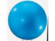 EXERCISE BALL 24IN BLUE