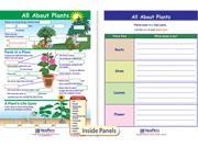 ALL ABOUT PLANTS VISUAL LEARNING