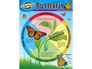 CHART LIFE CYCLE OF A BUTTERFLY