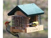 2 Suet and A Seed