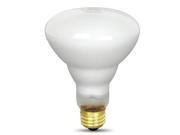 65 Watt BR30 Reflector Spot Light Bulbs