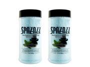 Spazazz Aromatherapy Spa and Bath Crystals Eucalyptus Mint 17 oz 2 Pack