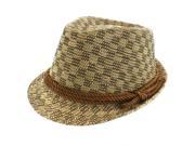 Faddism Fashion Fedora Hat in Brown