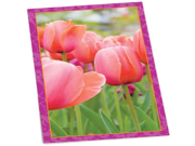 Springbok Puzzles Tulips Bridge Score Pads