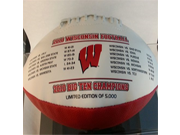 Wisconsin 2010 Season to Remember Football w Display