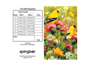 Springbok Puzzles Goldfinch Bridge Tally Sheets