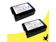 Two Halcyon 2200 mAH Lithium Ion Replacement Battery for Sony Alpha NEX 6 Mirrorless 16.1MP Digital Camera and Sony NP FW50