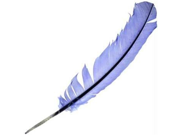 Azure Green RFBLUS Sea Blue Feather