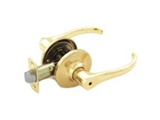 Lever Privacy Polished Brass Visual Pack