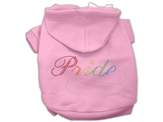 Rainbow Colored Pride Hoodies Pink XS 8