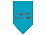 Bringin Sexy Back Screen Print Bandana Turquoise Small