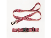 C NYL PTRN.LEAD 1 X4FT PAWS RED