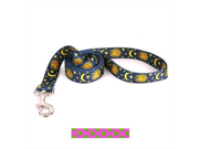 Polka Dot Dog Lead Size 1 x 60 Color Pink Green
