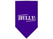 Bully Screen Print Bandana Purple Small