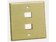 New IC107F02IV 2Port Face Ivory ICC FACE 2 IV
