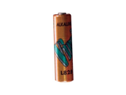 JAYBRAKE Aamp Battery2 Batteries Mini 12V Alkaline; L828
