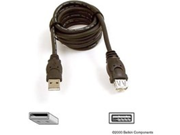 Belkin USB Extension Cable 10 Feet