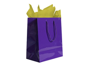 JAM Paper® Colorful Gift Bag Assortment 2 Medium Glossy Bags 8 x 10 with 2 Tissue Paper Packs Purple Gift Bags Gold Tissue Paper Combo 4 Items Total