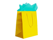 JAM Paper® Colorful Gift Bag Assortment 2 Large Glossy Bags 10 x 13 with Tissue Paper 10 Pack Yellow Gift Bags Aqua Blue Tissue Paper Combo 3 Item