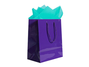 JAM Paper® Colorful Gift Bag Assortment 2 Large Glossy Bags 10 x 13 with Tissue Paper 10 Pack Purple Gift Bags Aqua Blue Tissue Paper Combo 3 Item