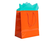 JAM Paper® Colorful Gift Bag Assortment 2 Large Glossy Bags 10 x 13 with Tissue Paper 10 Pack Orange Gift Bags Aqua Blue Tissue Paper Combo 3 Item