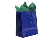 JAM Paper® Colorful Gift Bag Assortment 2 Medium Glossy Bags 8 x 10 with Tissue Paper 10 Pack Blue Gift Bags Green Tissue Paper Combo 3 Items Tota