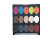 15 Shade Eye Shadow Palette Neutral with a Splash of Color