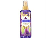 Victorias Secret Garden Exotic Bloom Coconut Orchid and Musk Refreshing Body Mist 8.4 Fl Oz