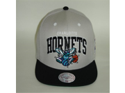 Mitchell and Ness NBA Charlotte Hornets Arch 2 Tone Gray Snapback Cap