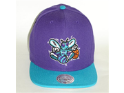 Mitchell Ness NBA New Orleans Hornets 2Tone Purple Turquoise Snapback A1449