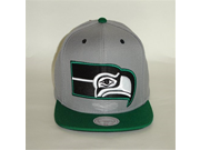 Mitchell Ness NFL Seattle Seahawks 2Tone Green Grey Snapback A2094