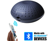 Technical Pro Powered Bluetooth Loudspeaker For Iphone Android Blue Tooth Connection