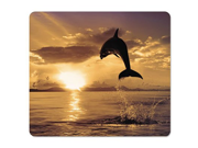 Fellowes Mousepad Recycled Optical Dolphin Jumping [Non Retail Packaged]