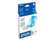 Epson DURABrite Ultra T060220 ink tank T060220