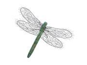 Metal Wood Dragonfly Decor 33 W