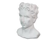 Benzara 58337 Resin Head Statue