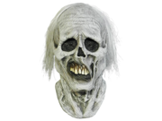 Chiller Zombie Mask